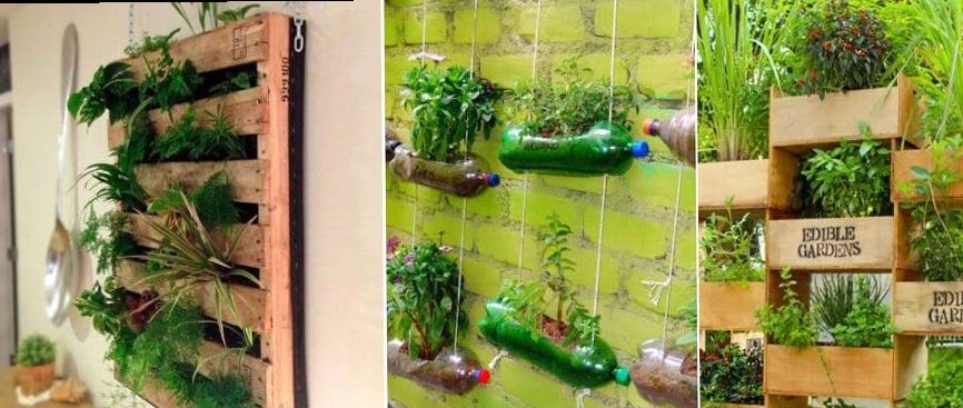 6 ideas for vertical gardens that you can create at home