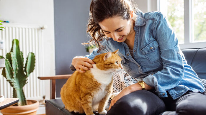 Have you ever thought that the plants you have at home and in the garden could not be ideal for your pets?