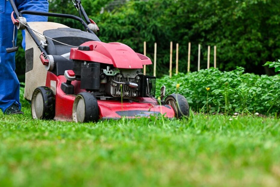 How to choose a grass cutter