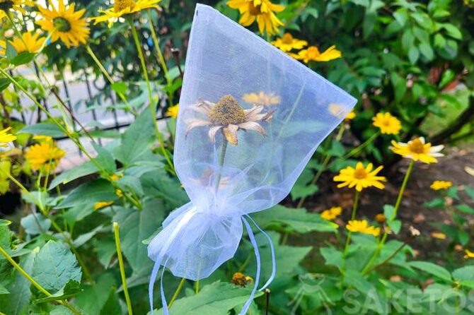 How to save the seeds for the subsequent plantation.