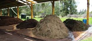 How to improve the quality of the soil in the garden with compost and organic nutrients