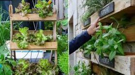 Grow vegetables in vertical gardens