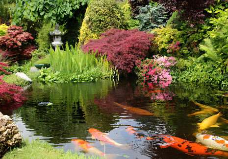 Japanese garden, a natural landscape full of symbolism.