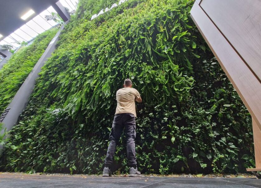 Vertical gardens, a response to the lack of space