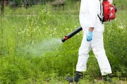 Which herbicides are used and how to use them correctly