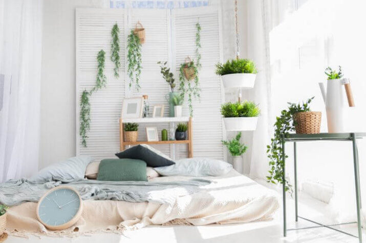 Plants in the bedroom? We reveal one of the secrets to guarantee your well -being.