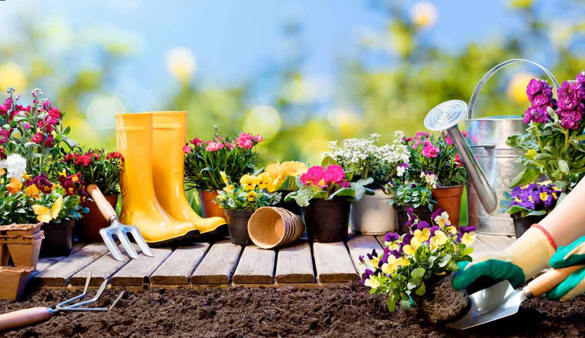 Prepare your garden for the arrival of spring
