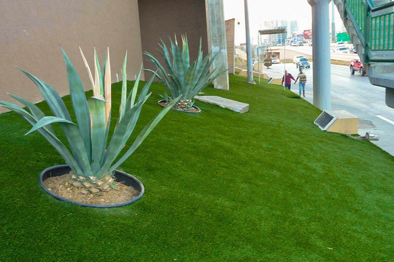Types of home grass and other recreational spaces