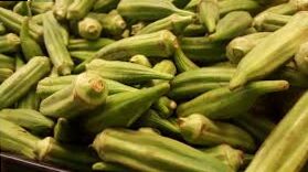 Everything you need to know about Okra's cultivation