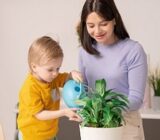 Are you also a father responsible for the floor? – Blog