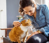 Have you ever thought that the plants you have at home and in the garden could not be ideal for your pets? – Blog