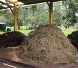 How to improve the quality of the soil in the garden with biological compost and nutrients – Blog