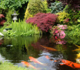 Japanese garden, a natural landscape full of symbolism. – Blog