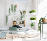 Plants in the bedroom? We reveal one of the secrets to guarantee your well -being. – Blog