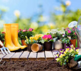 Prepare your garden for the arrival of spring – blog