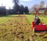 Sarier the grass is the key to having a perfect lawn – blog