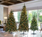 Tips for choosing the ideal Christmas tree: – Blog