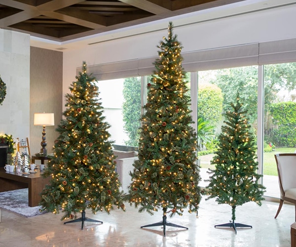 How to choose a Christmas tree? - Home Depot blog