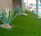 Types of home grass and other recreational spaces – Blog