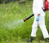 What herbicides are used and how to use them correctly – blog