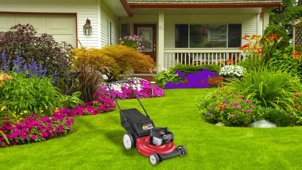 9 Garden tools that you cannot miss: Home Depot blog
