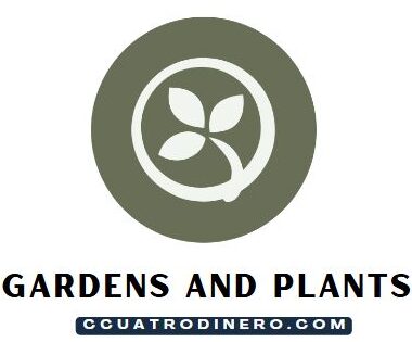 Gardens and Plants Blog