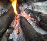 The advantages of ashes in agriculture