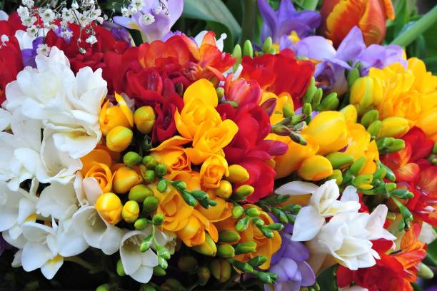 The flowers of March: spring is coming in the news Flowers of March