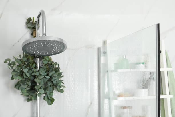 8 options for plants ideal for perfume your home in utilities 8 options for plants ideal for perfume your home