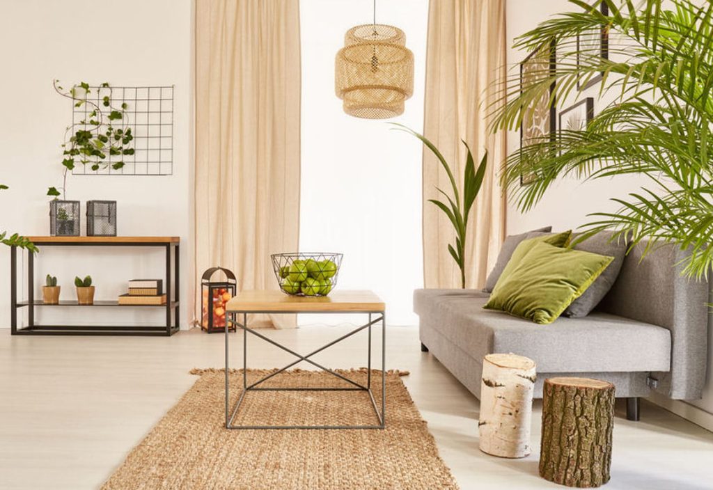 Lucky Bamboo - Dracaena Sanderiana Lucky Bamboo - Dracaena Sanderiana